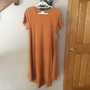 LulaRoe Carly Dress - New!